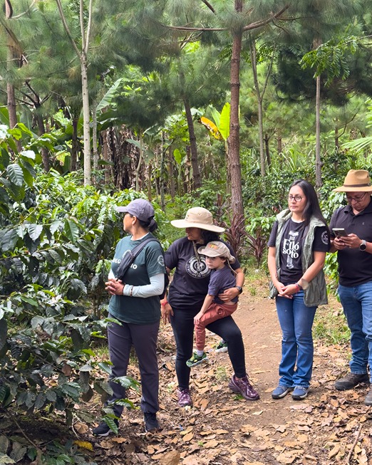RUTA DEL CAFE 2